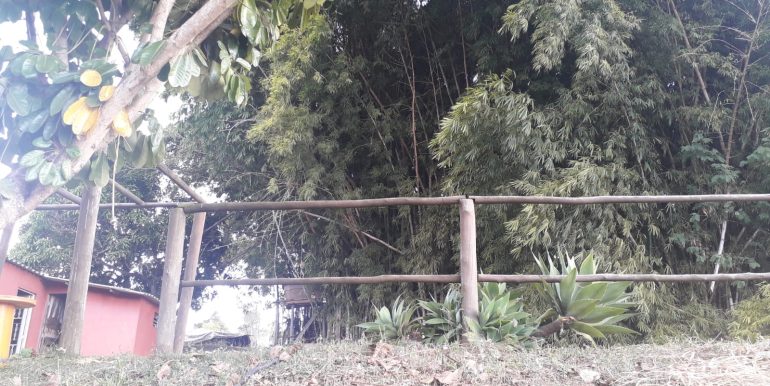 lindo sitio na chapada - foto 3