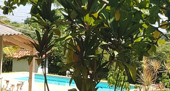 Foto 42
