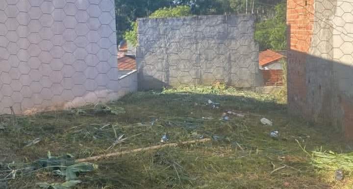 Terreno no madre Paulina