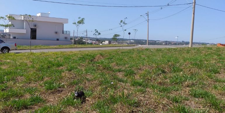Lindo terreno plano no reserva parque - foto 3