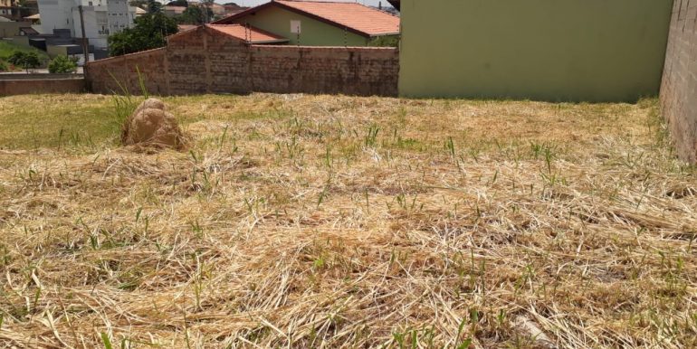 TERRENO NO VILA NOVA - foto 2