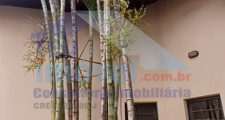 WhatsApp Image 2025-12-10 at 12.21.51 (1)