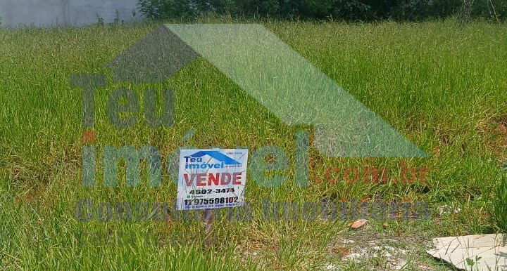 WhatsApp Image 2026-01-28 at 11.37.26